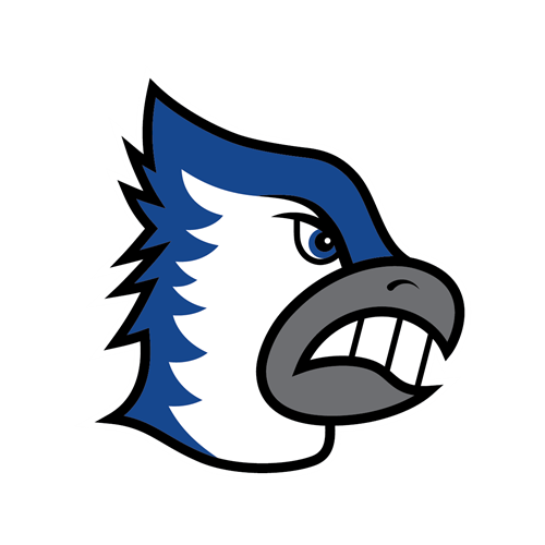 Bluejay logo icon